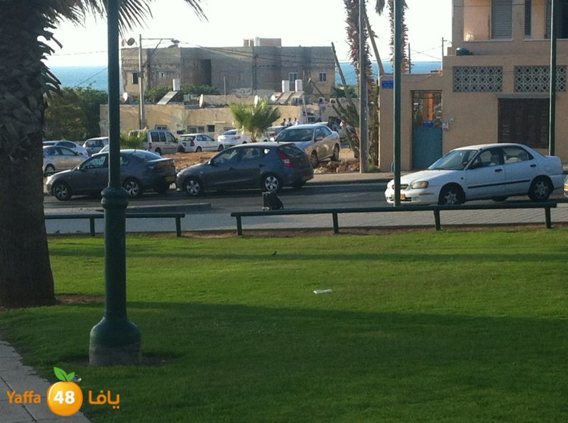 robot kedem 615 (7).jpg